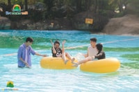 Vé Núi Thần Tài - Hình 2